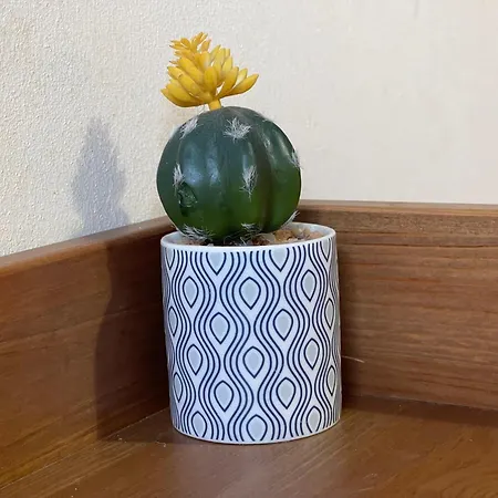 Ferienhaus Casa Carmen